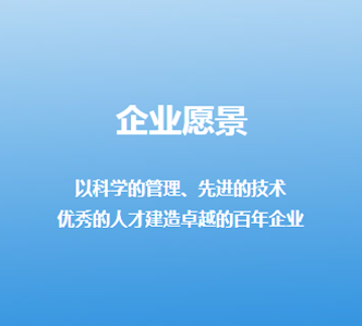 企业愿景1.png