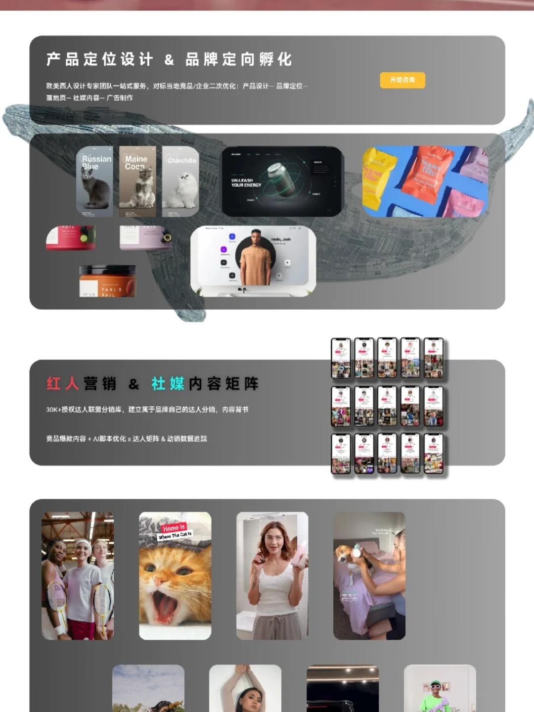 b2b企业官网案例分享