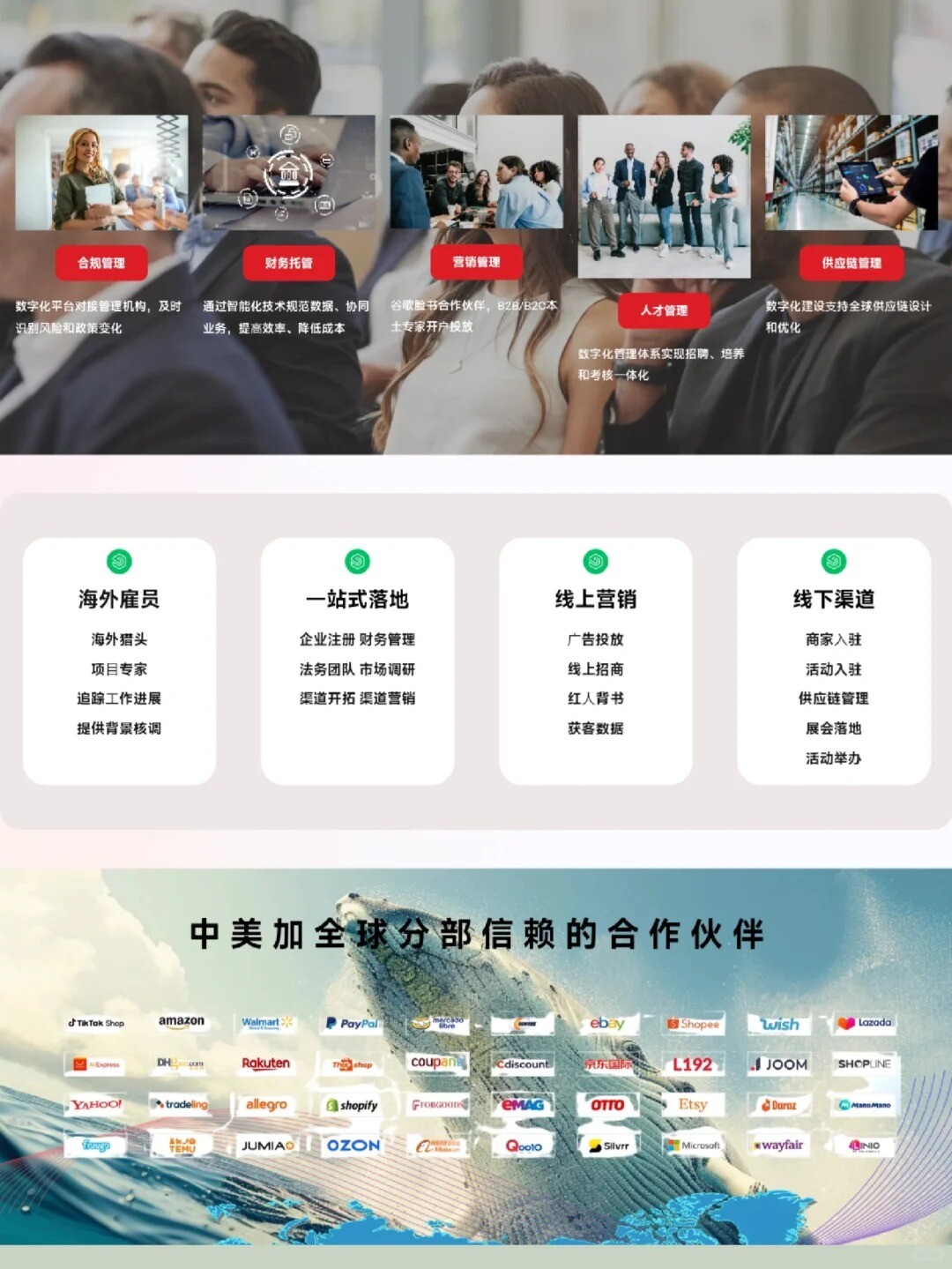 b2b企业官网案例分享