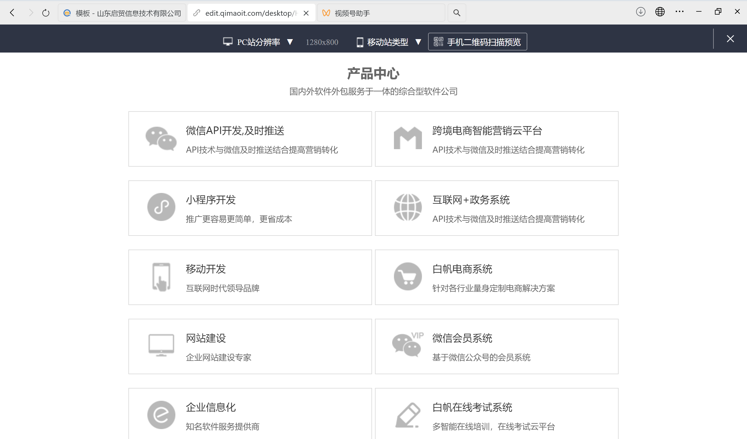 软件公司外贸独立站成功案例深度解析：从技术架构到全球化运营
