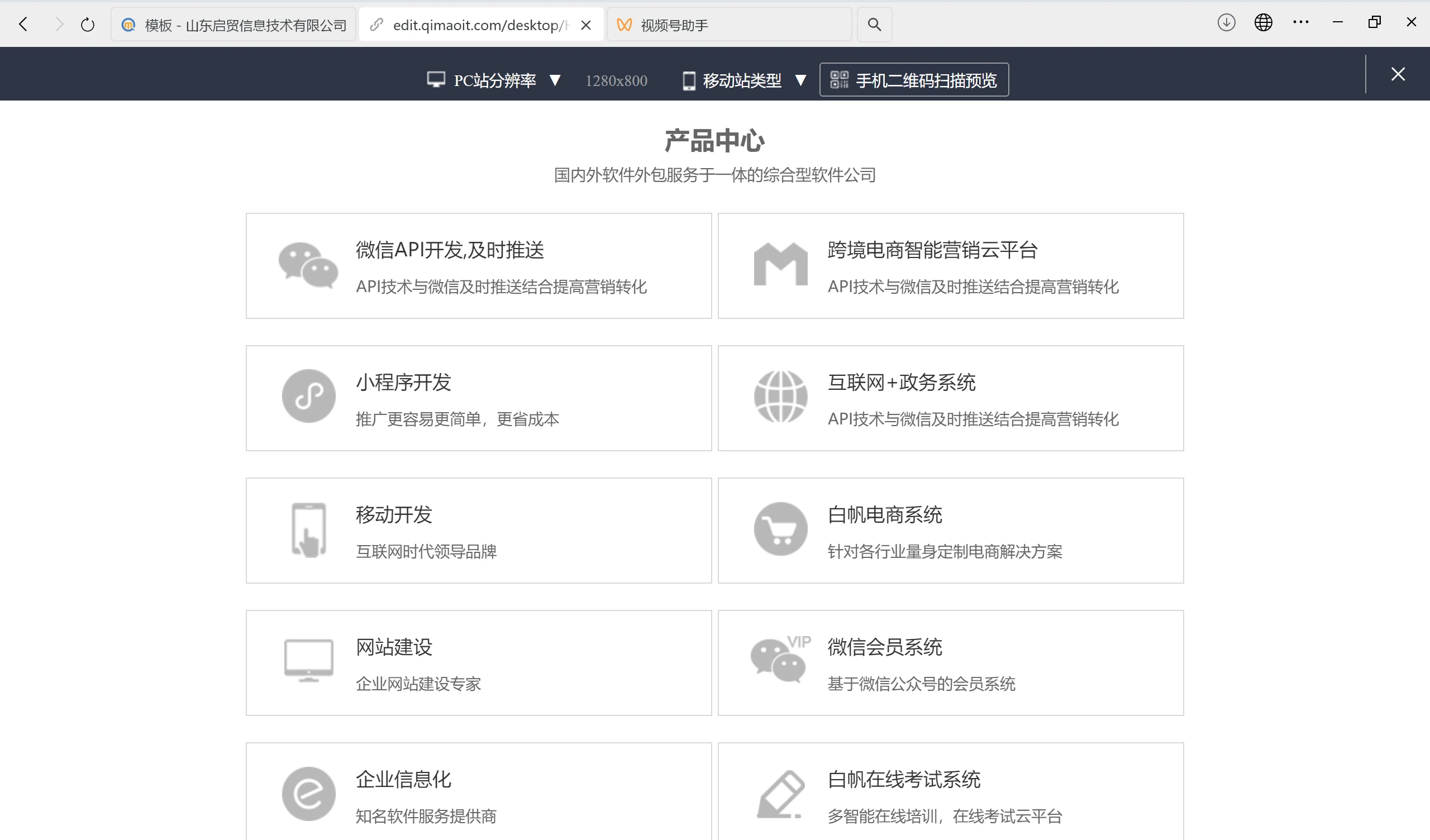 软件公司外贸独立站成功案例深度解析：从技术架构到全球化运营