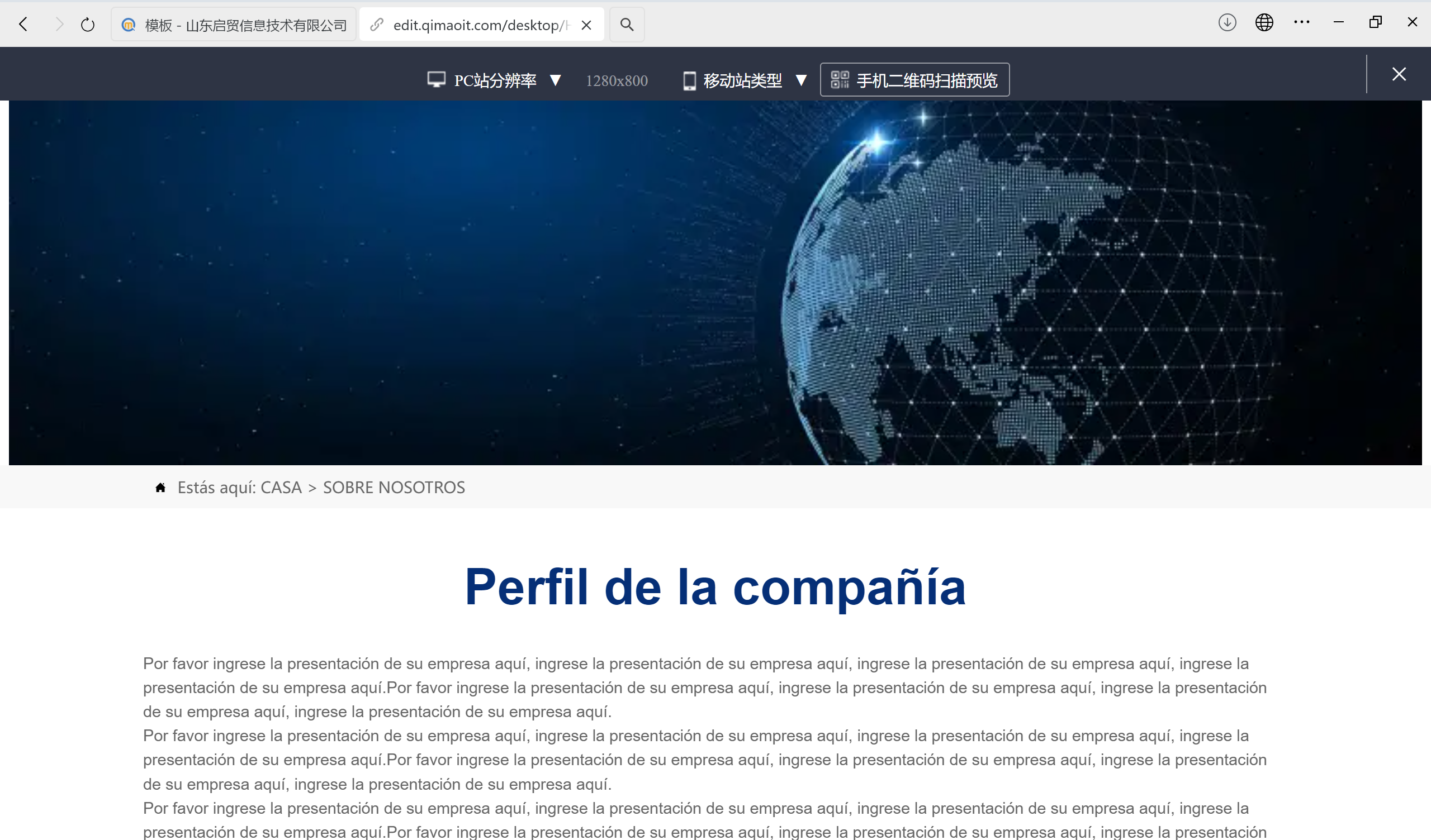 工程机械公司外贸独立站案例深度解析：从流量到订单的转化路径