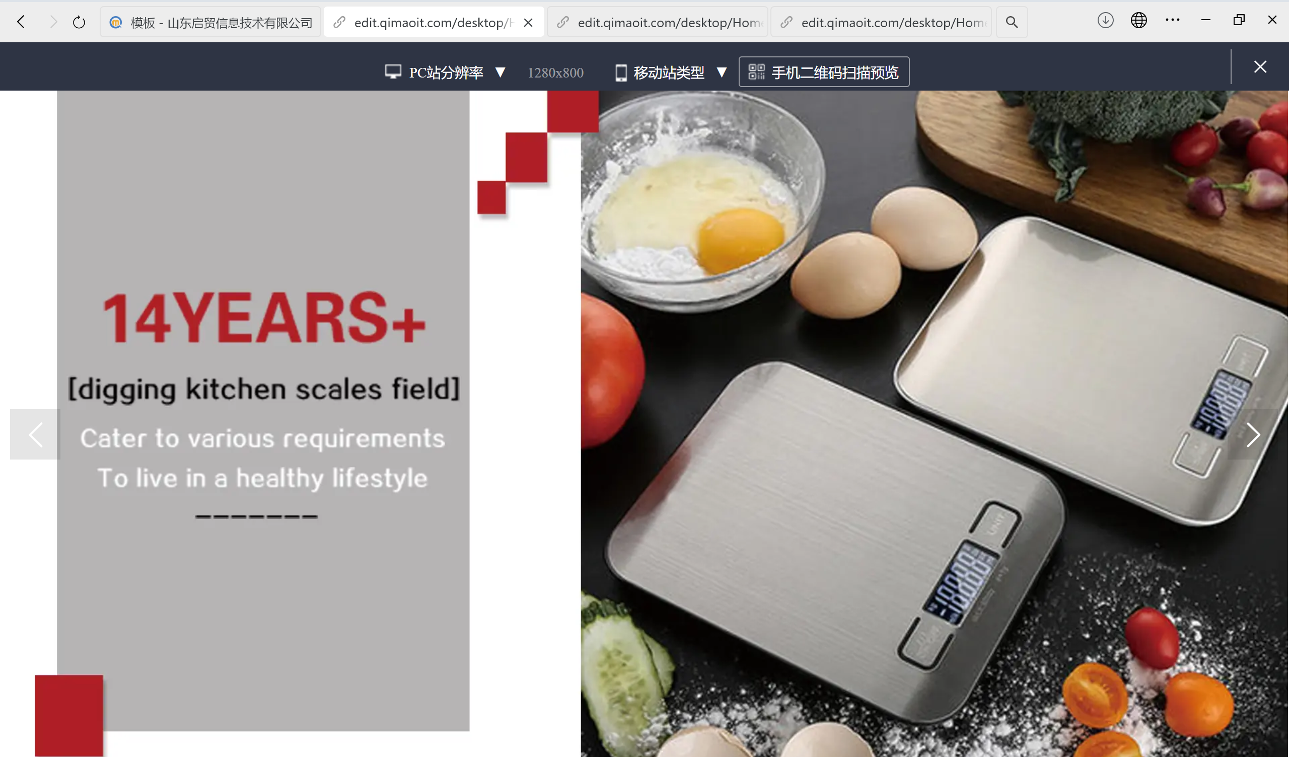 称具制造商外贸独立站案例分享：从本土到全球的品牌跃迁