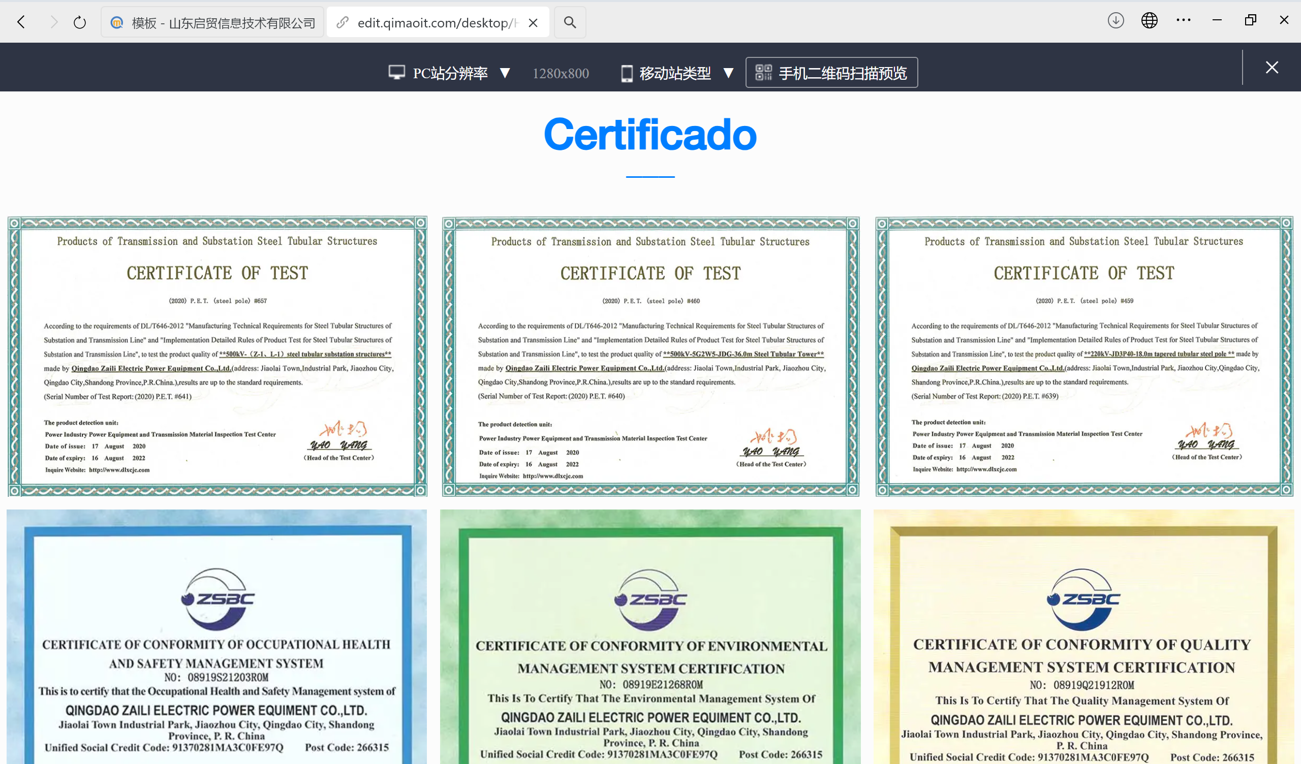 某进出口贸易公司外贸独立站案例分享：从0到1的全球化突围