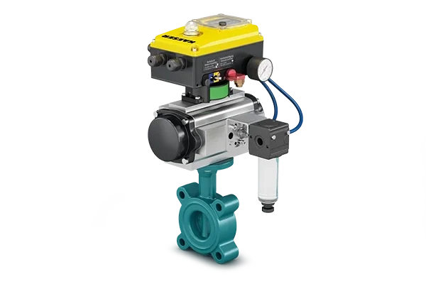 KAESER VALVE