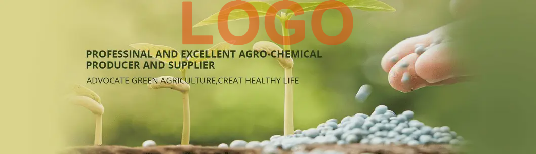 1732862551721011558022549504 (1)