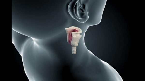 生物动画,机械动画,演示动画,产品动画,三维动画,医疗器械动画