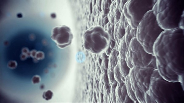 生物动画,机械动画,演示动画,产品动画,三维动画,医疗器械动画