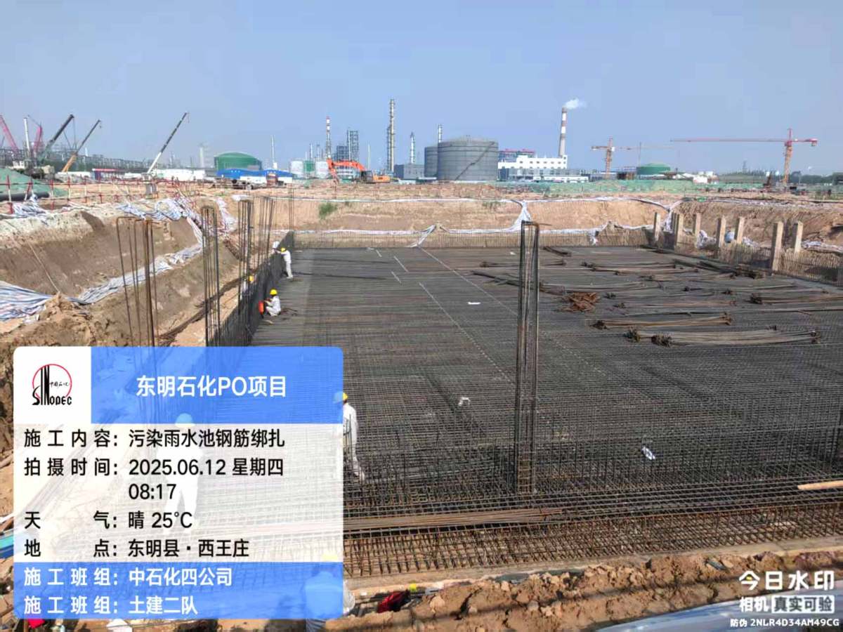 0290998174a9f275896ad6bc16e9b50