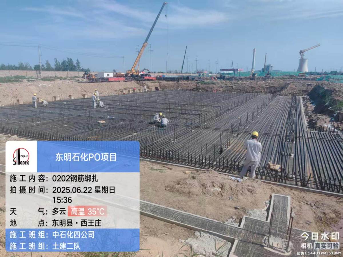 5d036be05fe60d3fa06ee4cbd67ecdeb_