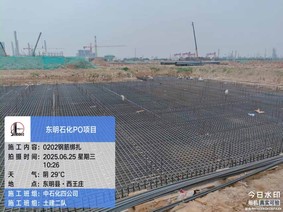 505929bb606bba8181ec5bafd0f3661