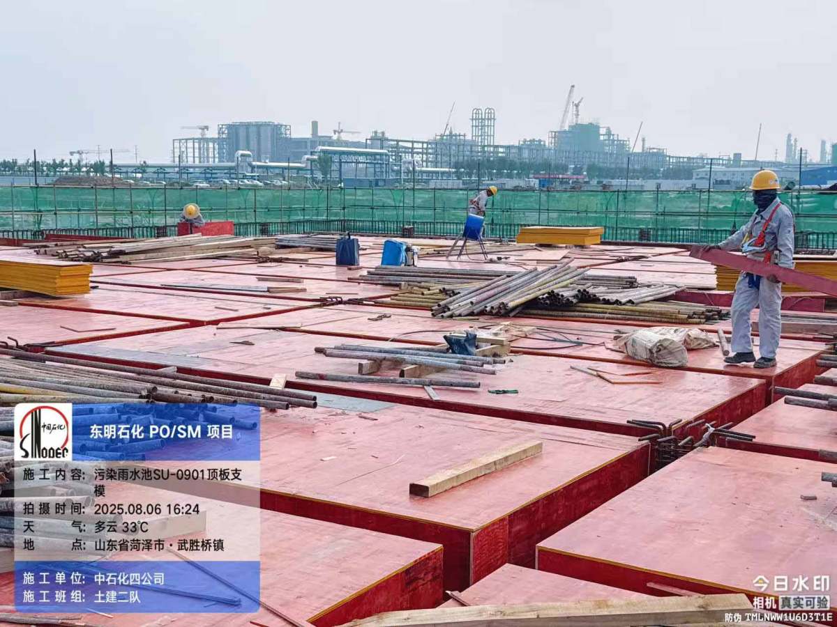 bbdad4db6f00cceeccd10bcac0b5312