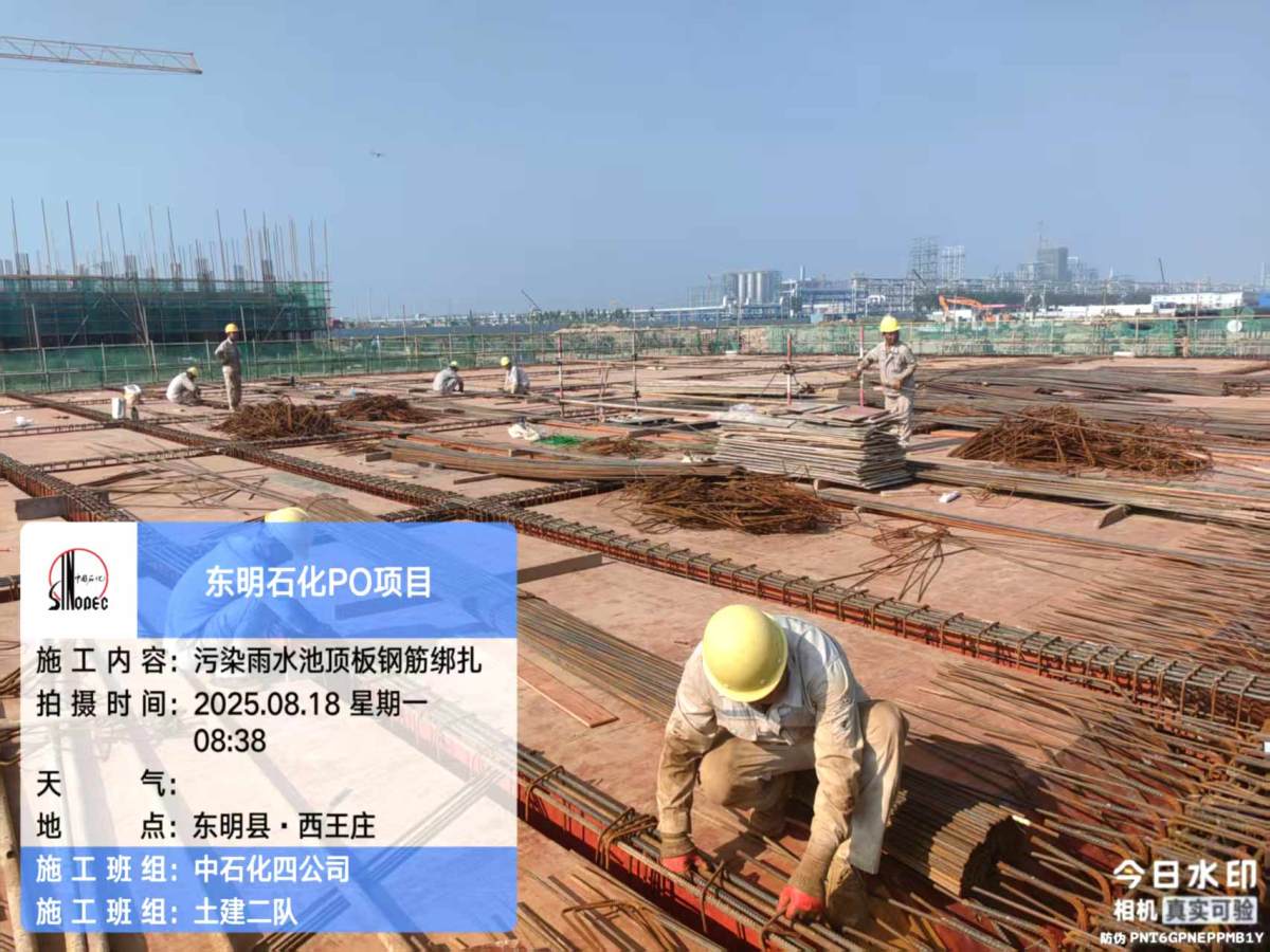 d6aba058753515fa835cb56db5831ad