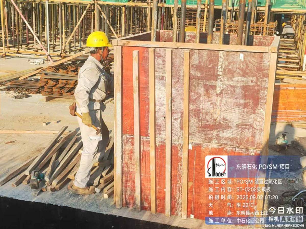 b45a2a0f5d0fad23cf9ef81e9900333