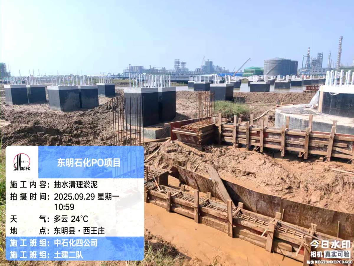 41cec238eb3ab6f2af5a6846784a1597