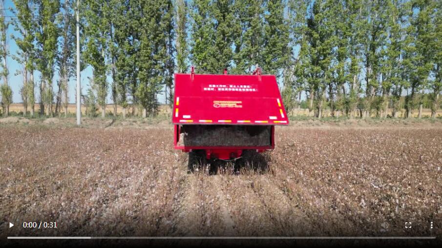 落地棉捡拾收获机作业效果