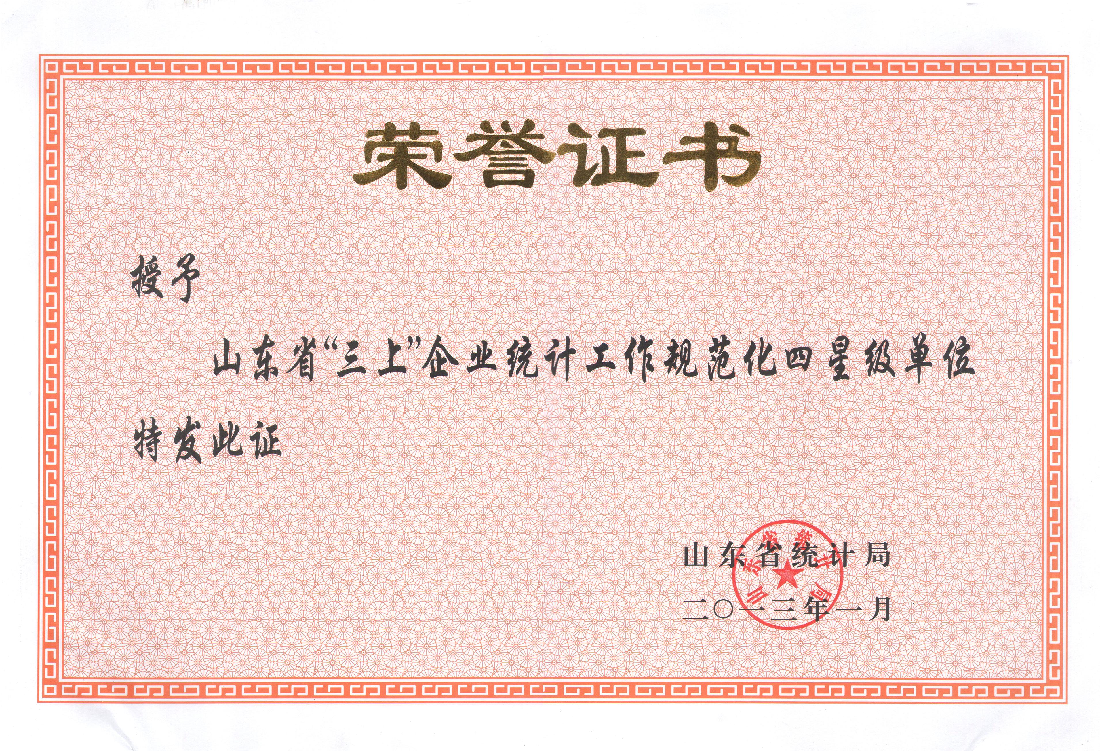 山东省统计局-四星级单位