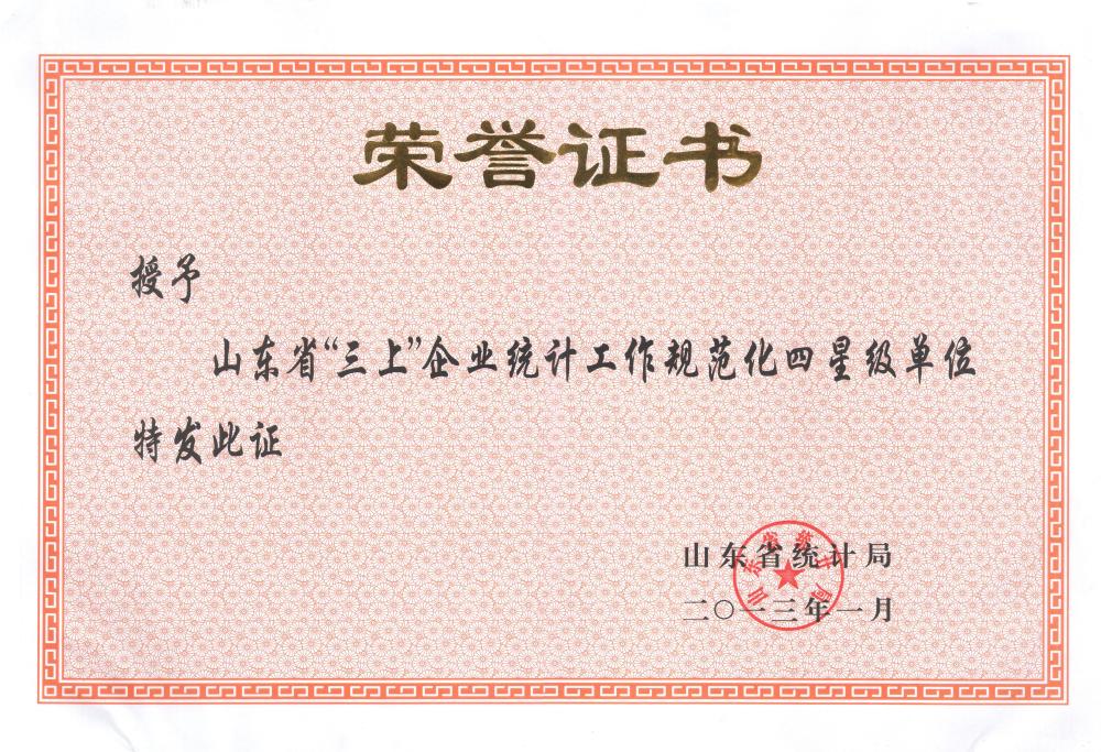 山东省统计局-四星级单位