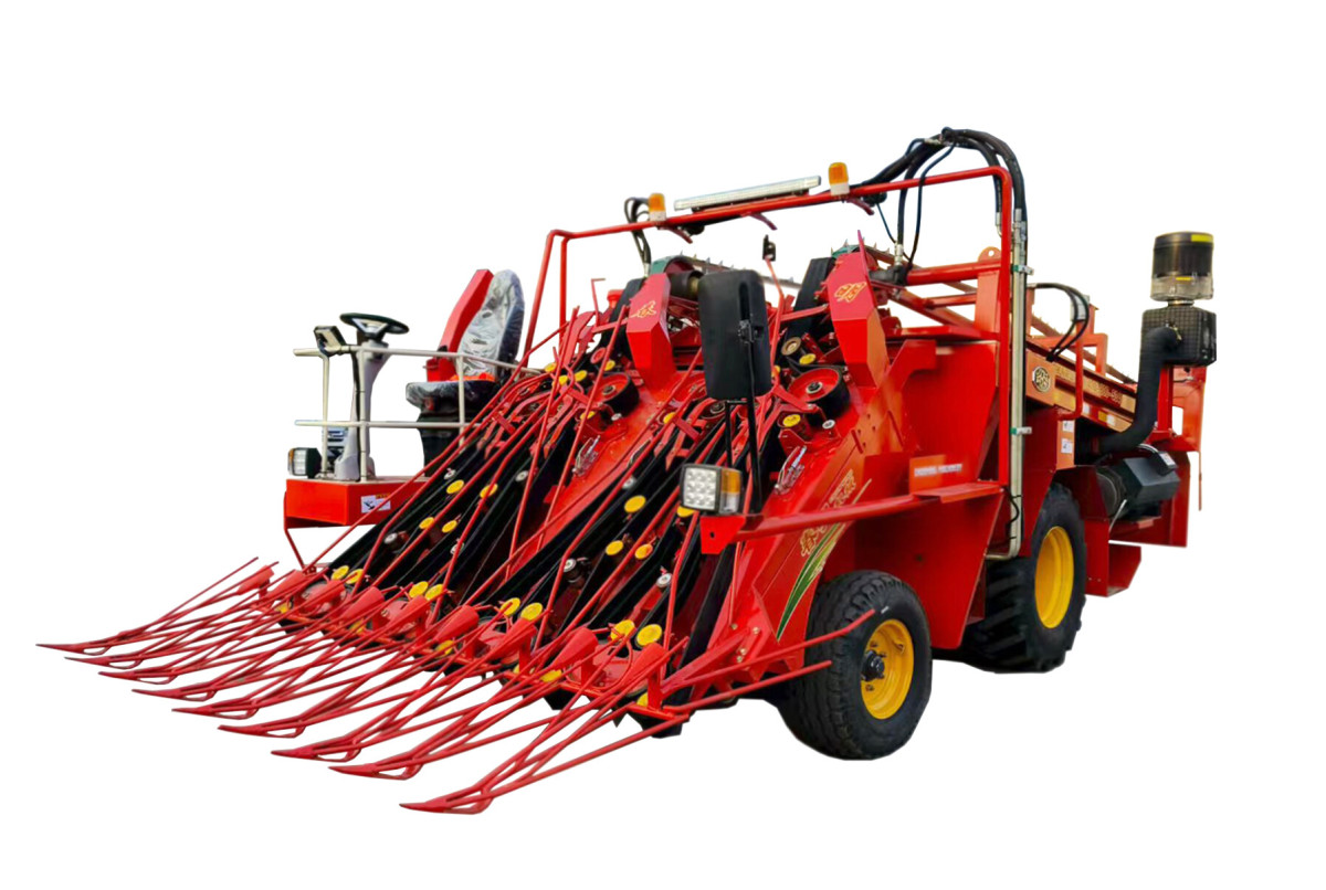 微信图片_20251217145543_43_160