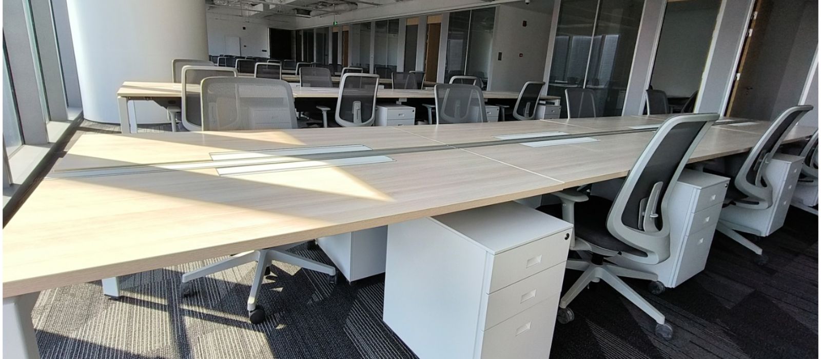 未命名logo (42).jpeg