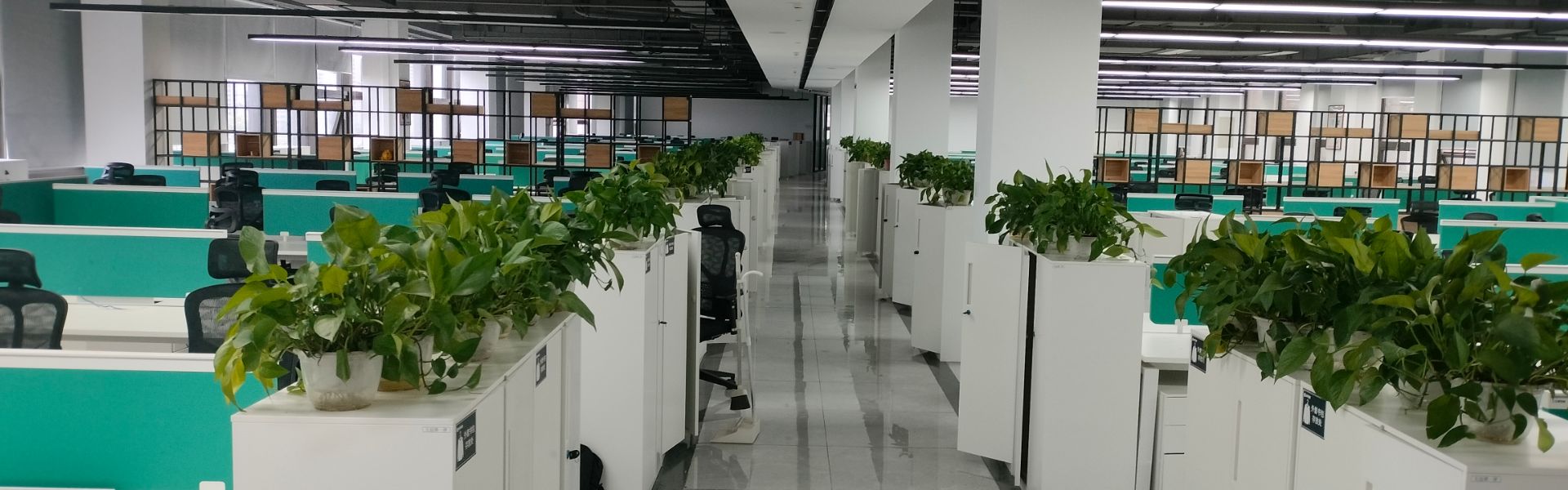 未命名logo - 2025-05-11T161224.193.jpeg