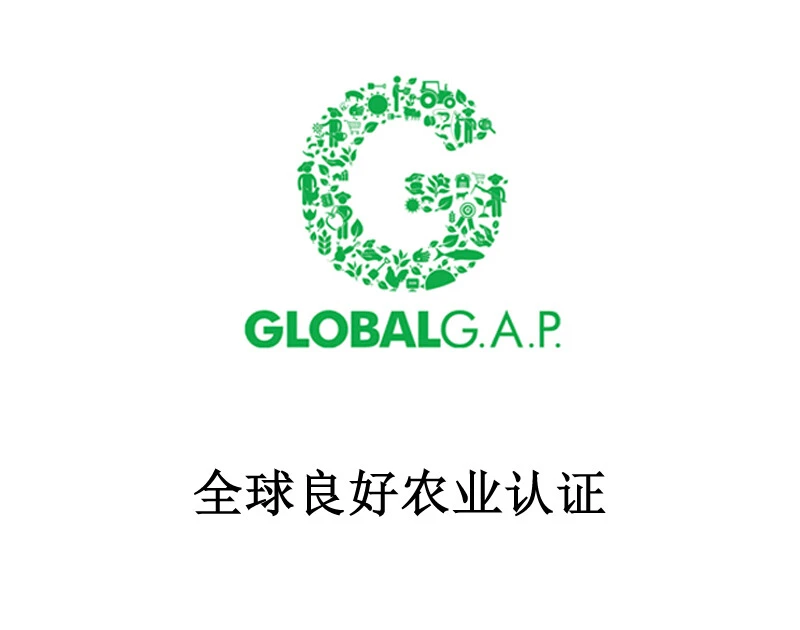 GLOBAL.GAP 认证（全球 GAP）