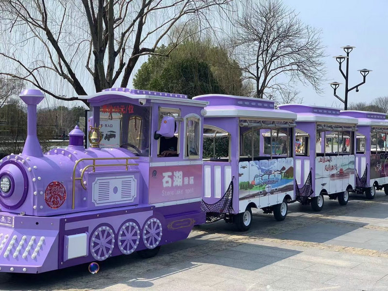 20座观光小火车