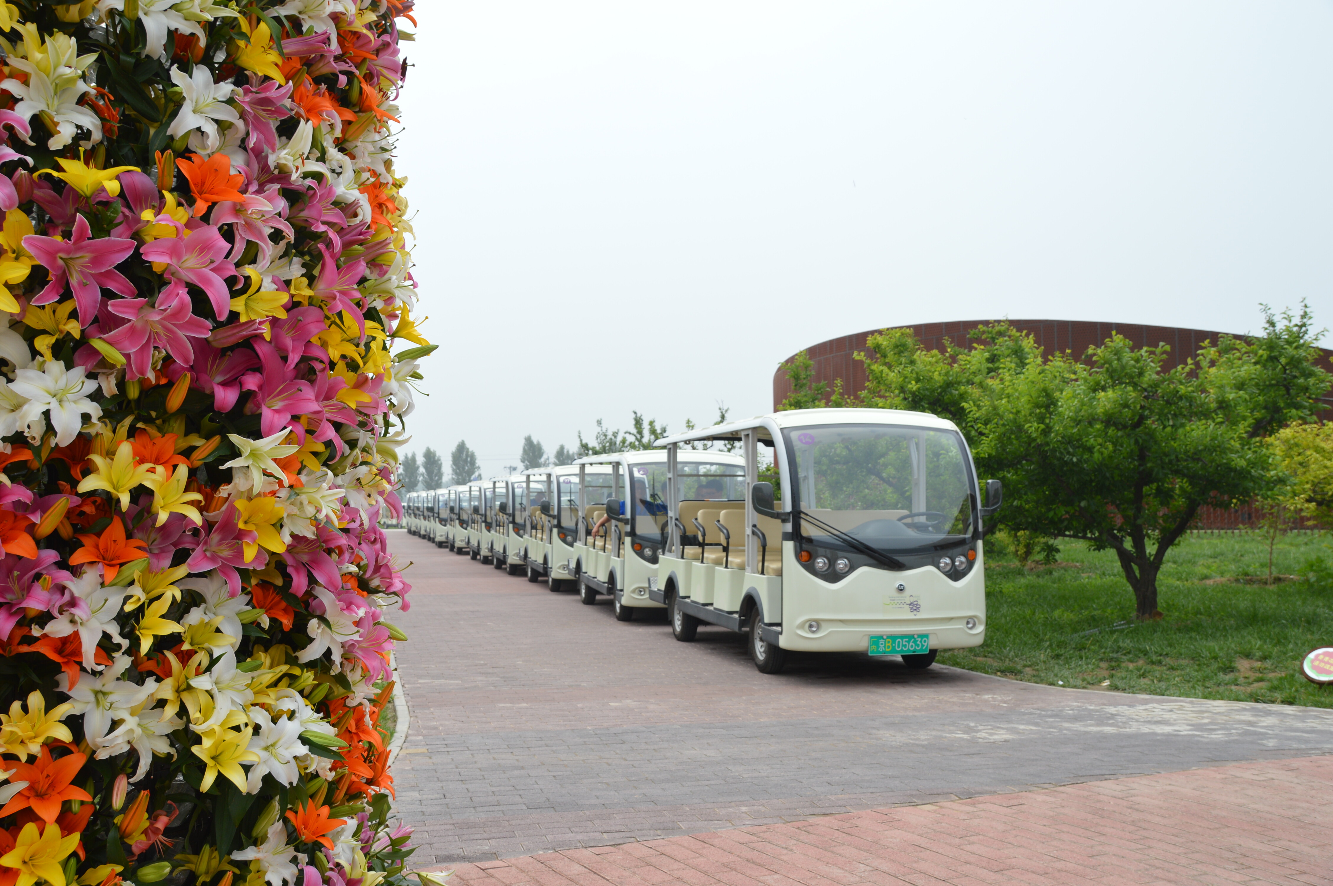 旅游观光车租赁