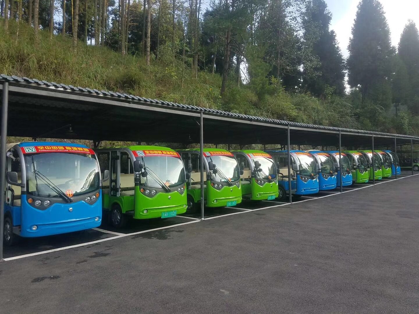 旅游观光车租赁