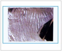 隧道专用防火涂料