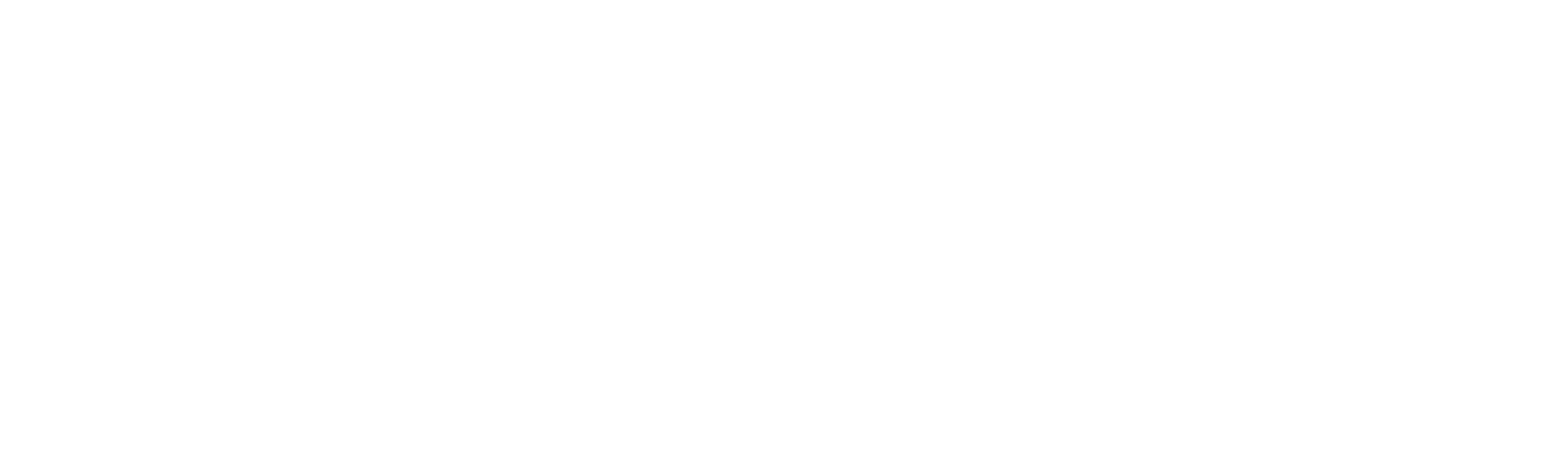 logo 白色.png