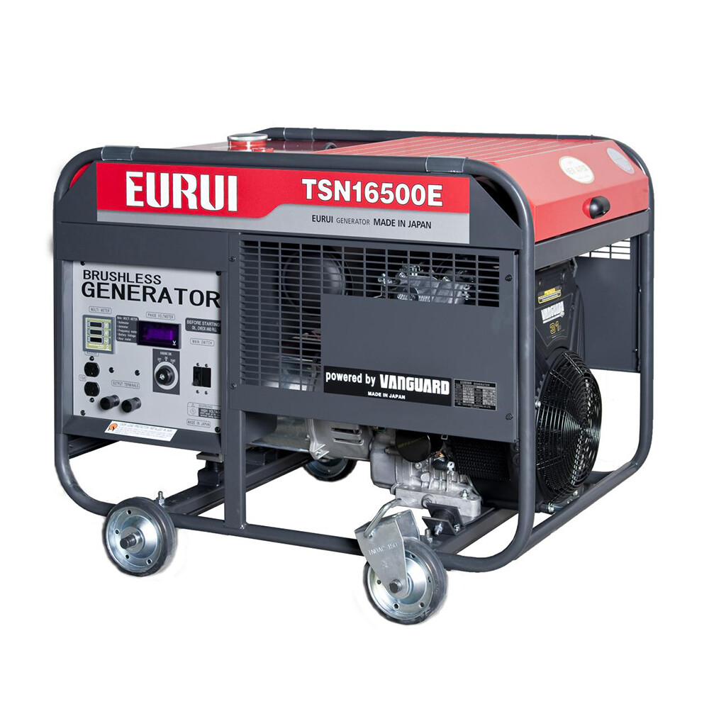 Toyo gasoline engine