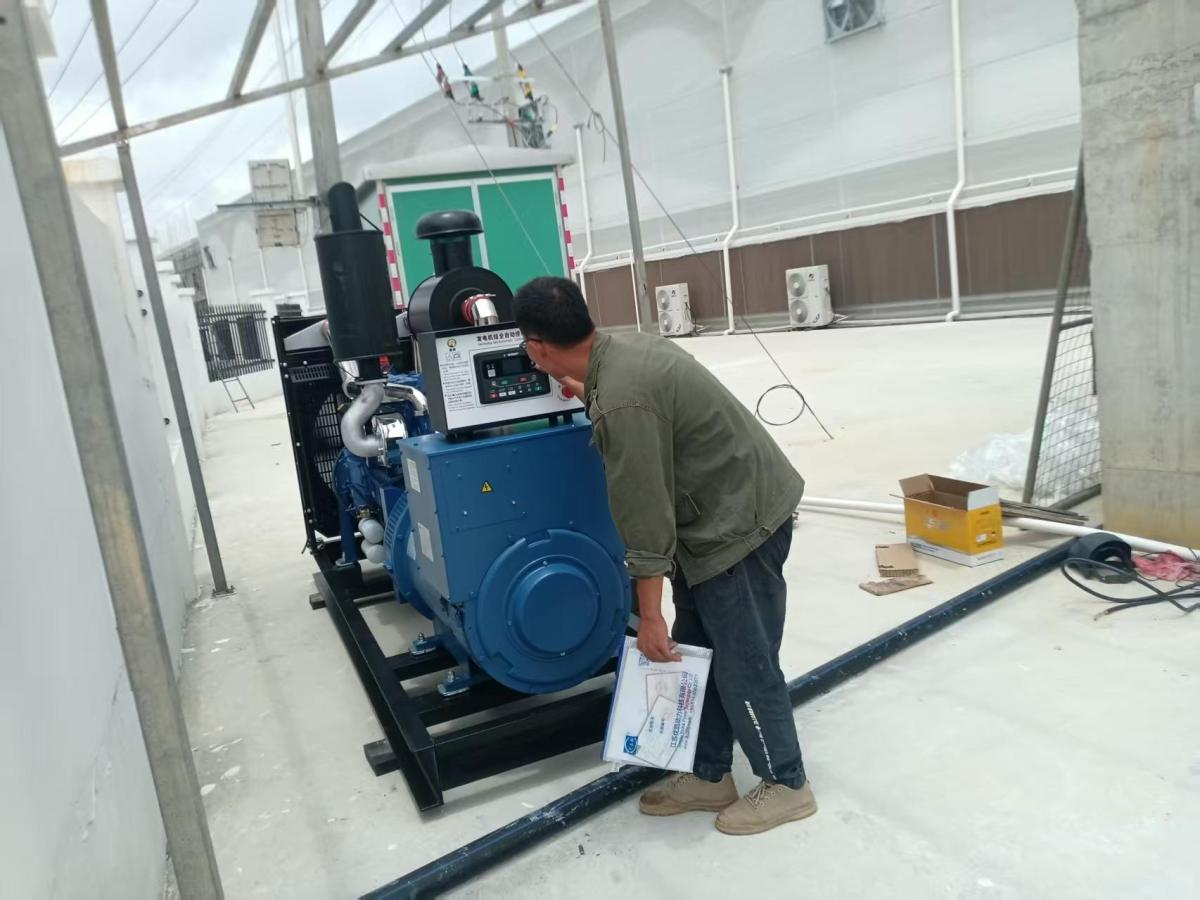 300kw濰坊鴻泰柴油發(fā)電機(jī)組20250514 (4) 300kw濰坊鴻泰柴油發(fā)電機(jī)組20250514 (4)