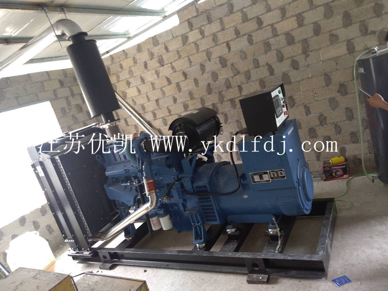 1682302945141584.jpg 1682302945141584.jpg