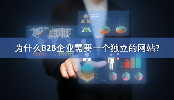 为什么B2B企业需要一个独立的网站.png 为什么B2B企业需要一个独立的网站.png