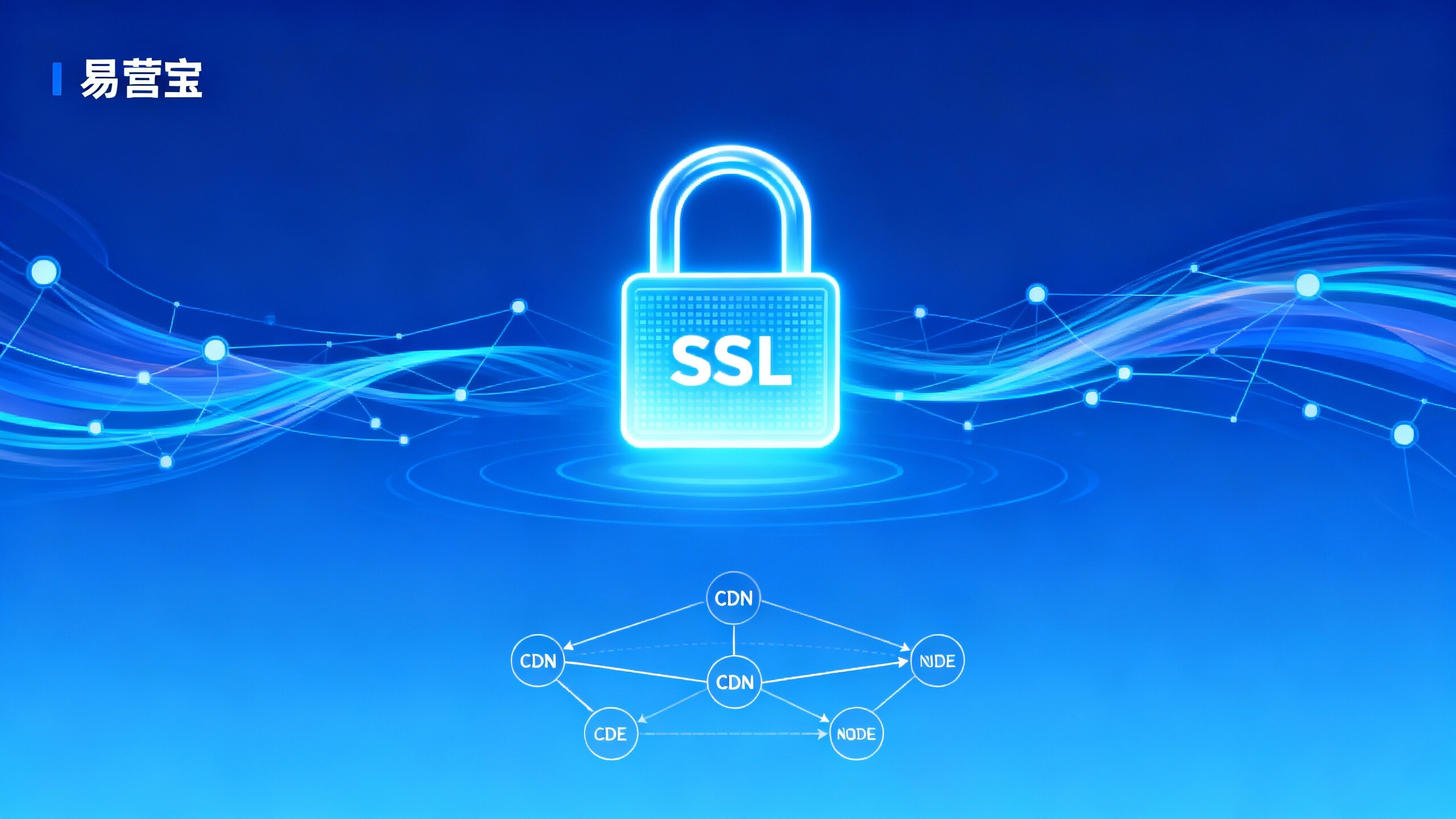 What is the role of HTTPS for websites? Why is the decision-making level increasingly emphasizing digital trust systems