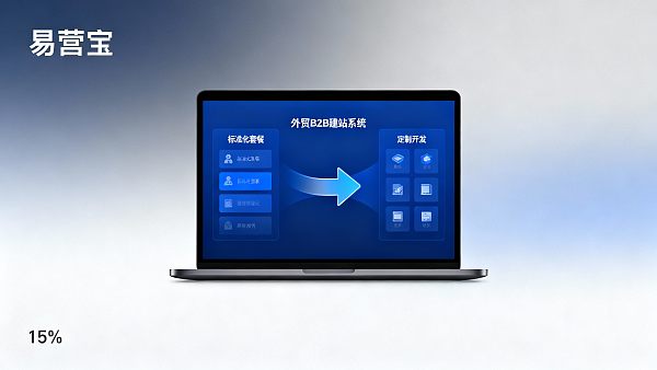 B2B Foreign Trade Website Price Comparison: Is It More Cost-Effective to Choose a Package or Custom Development?