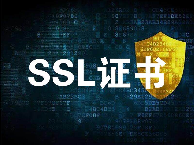 SSL digital certificate automatic issuance function is now online!