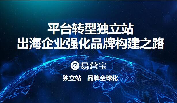 Platform transformation to independent website: a new chapter in brand building for overseas enterprises