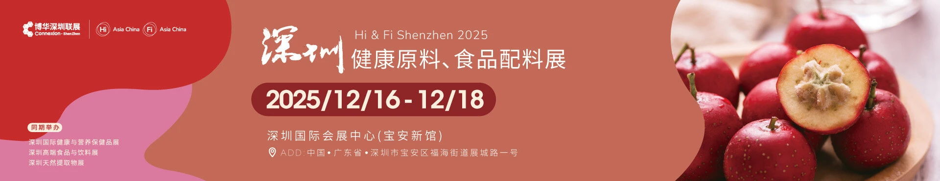 Hi & Fi Shenzhen 2025