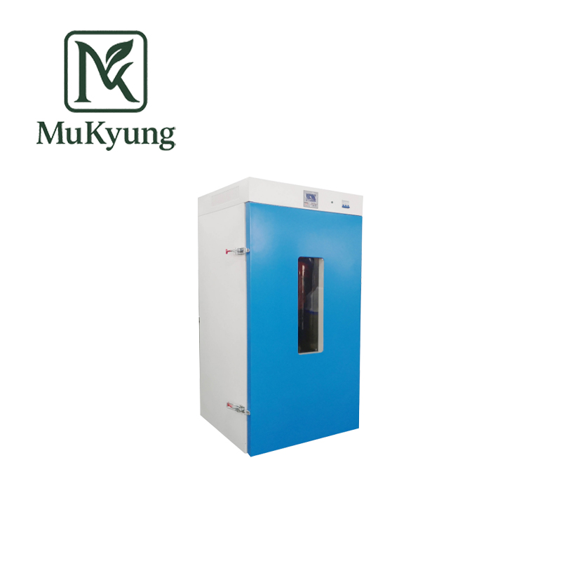 立式恒温鼓风干燥箱系列