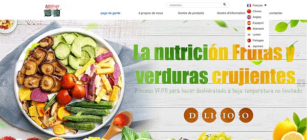 多语言独立站.png 多语言独立站.png