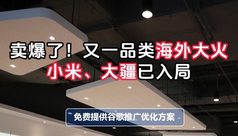 매진! 해외 불, 기장, DJI의 또 다른 카테고리가 게임에 등장했습니다!