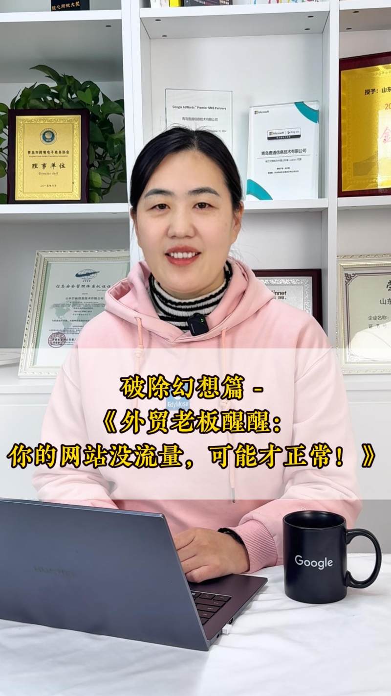 환상 깨기 - 《외贸 사장님들 주목: 당신의 웹사이트에 트래픽이 없는 게 정상일 수 있습니다!》