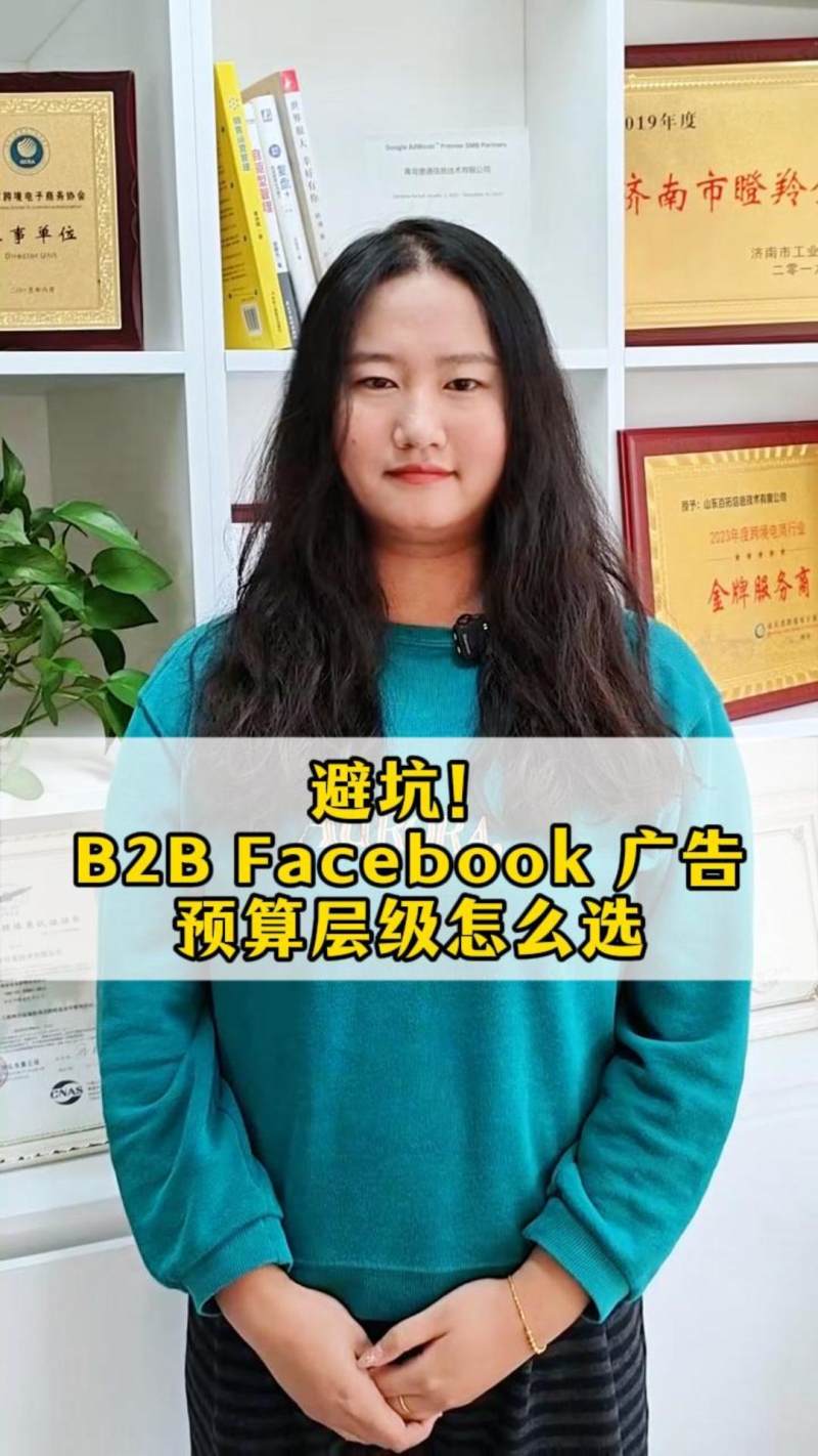 피해야 할 함정! B2B 페이스북 광고 예산 계층 구조 어떻게 선택할까