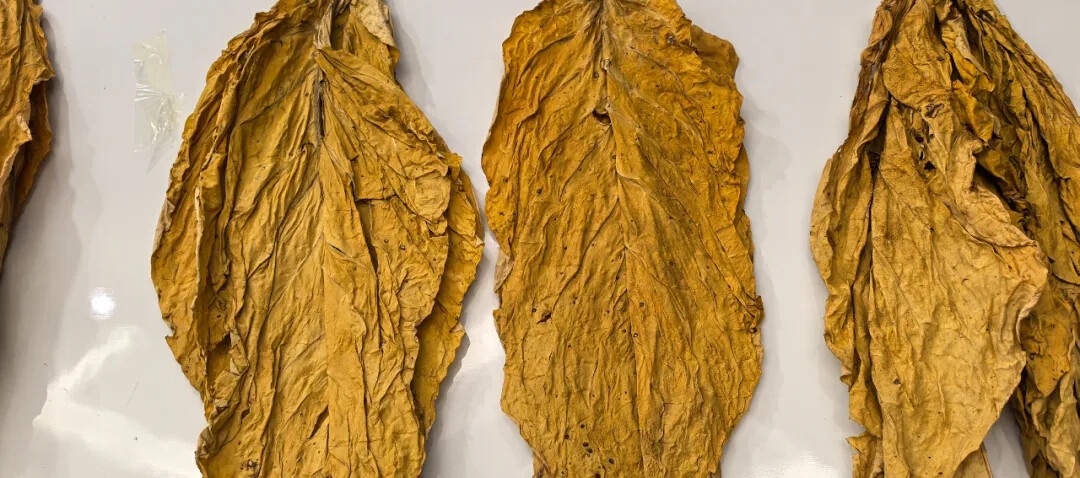 640?wx_fmt=jpeg&from=appmsg&tp=webp&wxfrom=5&wx_lazy=1&wx_co=1