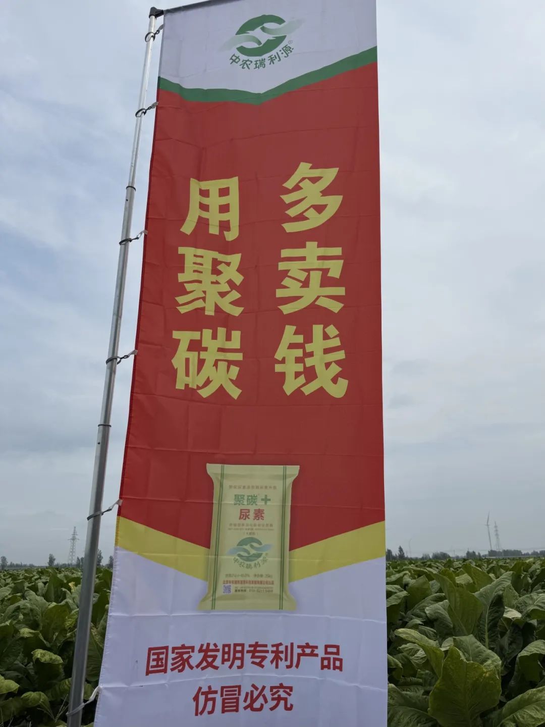 640?wx_fmt=jpeg&from=appmsg 640?wx_fmt=jpeg&from=appmsg