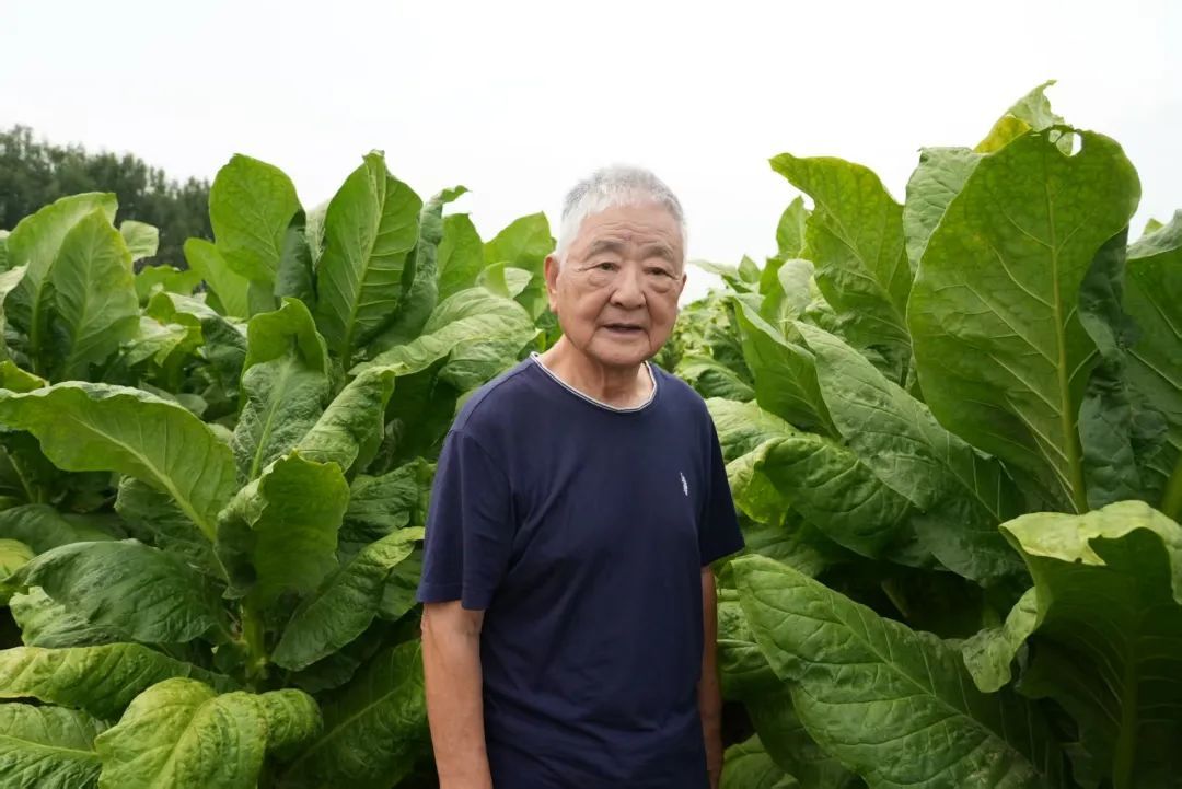 640?wx_fmt=jpeg&from=appmsg 640?wx_fmt=jpeg&from=appmsg