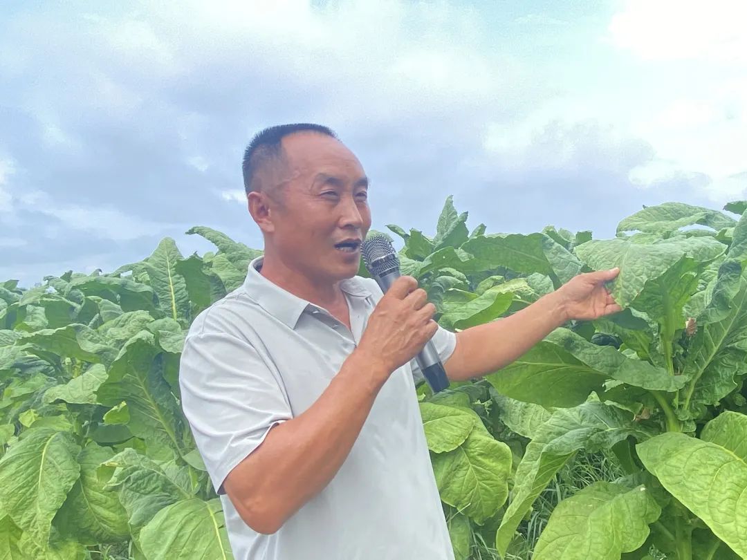 640?wx_fmt=jpeg&from=appmsg 640?wx_fmt=jpeg&from=appmsg