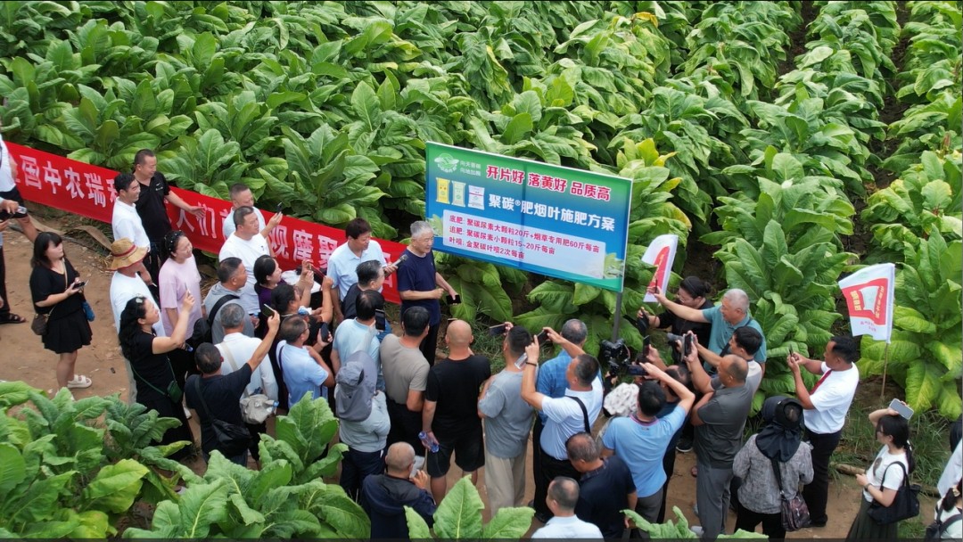 640?wx_fmt=png&from=appmsg 640?wx_fmt=png&from=appmsg